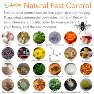 Natural pest control